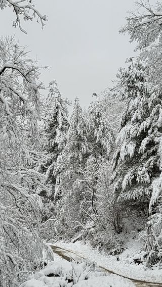 산간애님의 자유주제 · 사진전 작성글 사진