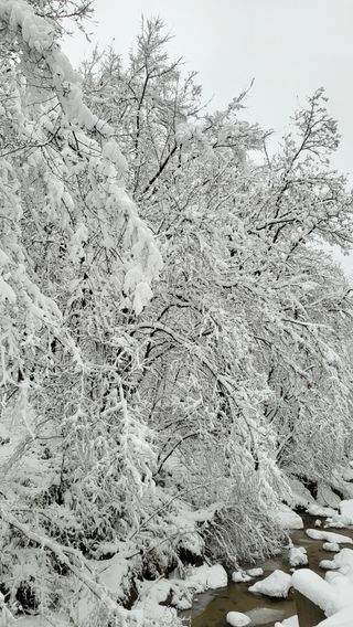 산간애님의 자유주제 · 사진전 작성글 사진