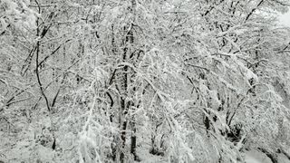 산간애님의 자유주제 · 사진전 작성글 사진