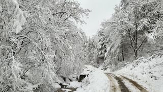 산간애님의 자유주제 · 사진전 작성글 사진