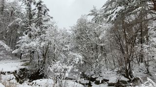 산간애님의 자유주제 · 사진전 작성글 사진