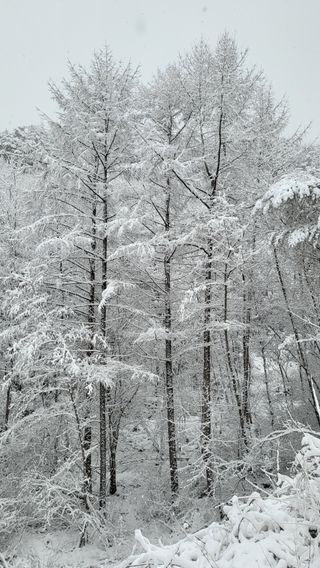 산간애님의 자유주제 · 사진전 작성글 사진