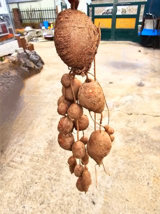 조성대님의 작성글 사진