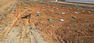 에바다님의 고추 · 영농일지 작성글 사진