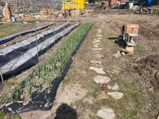 도곡님의 자유주제 · 자유게시판 작성글 사진