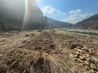 도곡님의 자유주제 · 자유게시판 작성글 사진