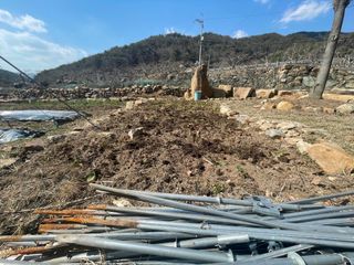 도곡님의 자유주제 · 자유게시판 작성글 사진