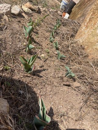도곡님의 자유주제 · 자유게시판 작성글 사진