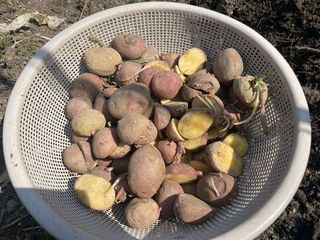 도곡님의 자유주제 · 자유게시판 작성글 사진