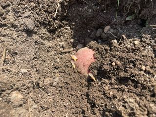 도곡님의 자유주제 · 자유게시판 작성글 사진