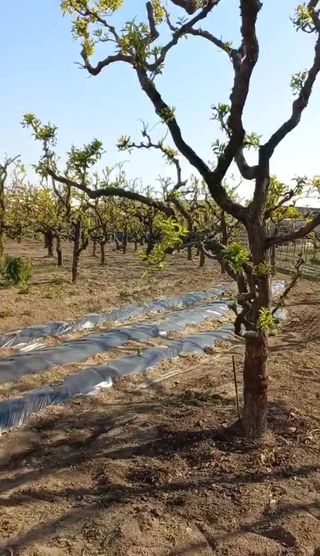 바람처럼님의 자유주제 · 자유게시판 작성글 사진