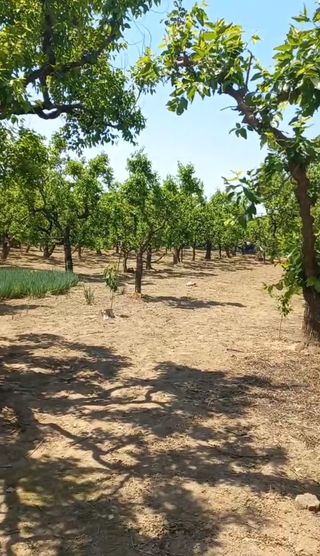 바람처럼님의 자유주제 · 자유게시판 작성글 사진