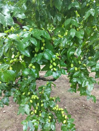 바람처럼님의 자유주제 · 자유게시판 작성글 사진