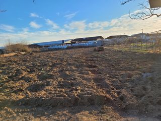 바람처럼님의 자유주제 · 자유게시판 작성글 사진