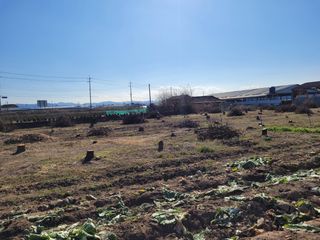 바람처럼님의 자유주제 · 자유게시판 작성글 사진