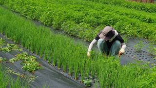 김정숙님의 자유주제 · 자유게시판 작성글 사진