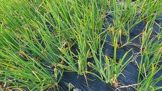 김정숙님의 자유주제 · 자유게시판 작성글 사진