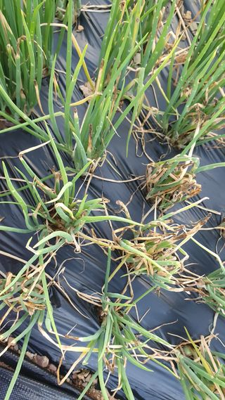 김정숙님의 자유주제 · 자유게시판 작성글 사진