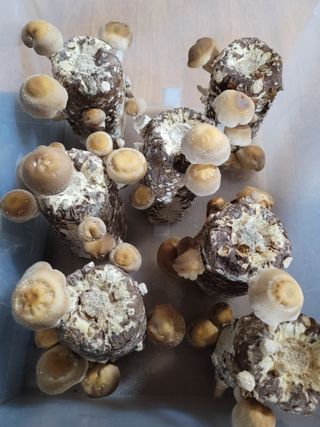 다솜방님의 자유주제 · 칭찬해요 작성글 사진