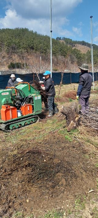 유종수님의 자유주제 · 자유게시판 작성글 사진