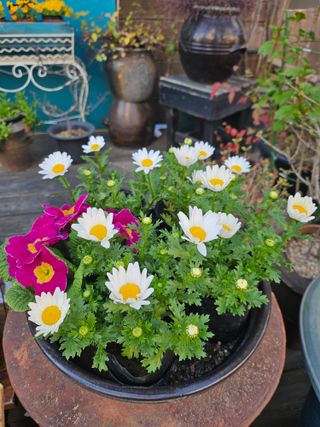 김지연님의 자유주제 · 자유게시판 작성글 사진