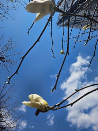 김지연님의 자유주제 · 자유게시판 작성글 사진