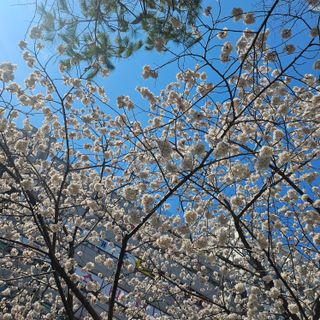 김지연님의 자유주제 · 자유게시판 작성글 사진