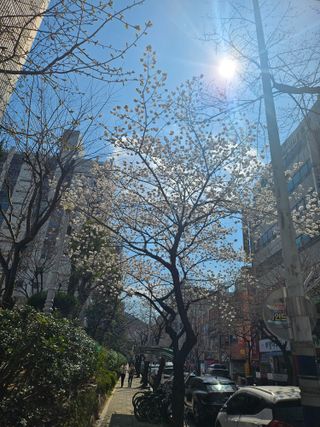 김지연님의 자유주제 · 자유게시판 작성글 사진
