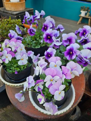 김지연님의 자유주제 · 자유게시판 작성글 사진