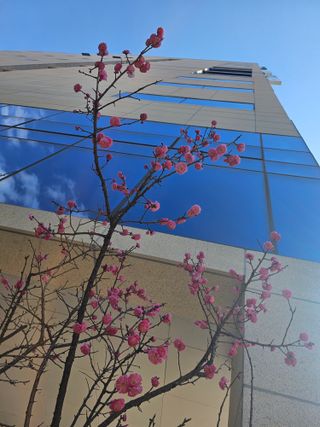 김지연님의 자유주제 · 자유게시판 작성글 사진