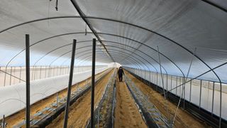 토성님의 자유주제 · 자유게시판 작성글 사진