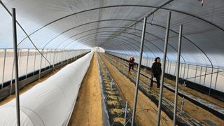 토성님의 자유주제 · 자유게시판 작성글 사진