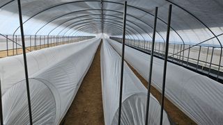 토성님의 자유주제 · 자유게시판 작성글 사진