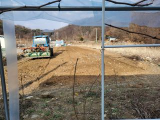 송씨네막내딸님의 자유주제 · 자유게시판 작성글 사진