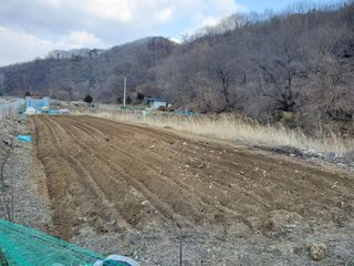 송씨네막내딸님의 자유주제 · 자유게시판 작성글 사진