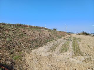 전영일님의 자유주제 · 자유게시판 작성글 사진