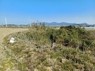 전영일님의 자유주제 · 자유게시판 작성글 사진