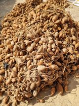 팜모닝 · 게시글 이미지