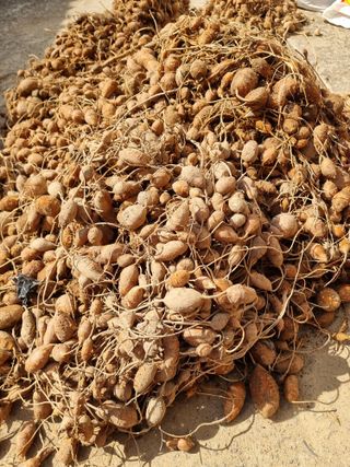 김석중님의 작성글 사진