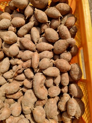 김석중님의 작성글 사진