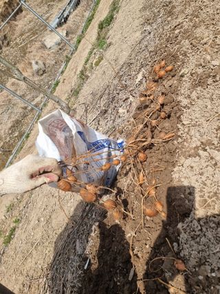 김석중님의 작성글 사진