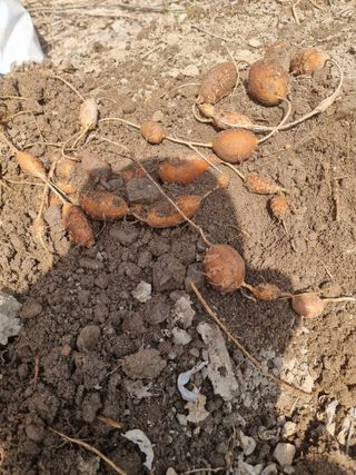 김석중님의 작성글 사진