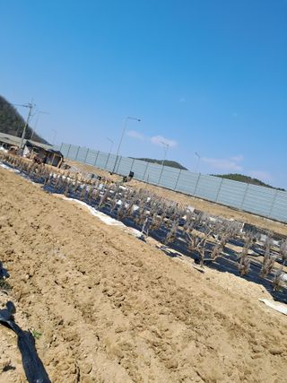 김용갑님의 자유주제 · 사진전 작성글 사진