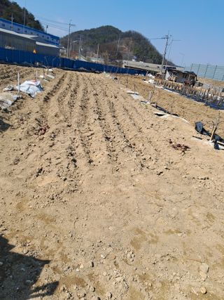 김용갑님의 자유주제 · 사진전 작성글 사진