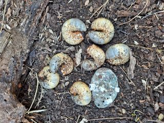 박손분님의 자유주제 · 사진전 작성글 사진