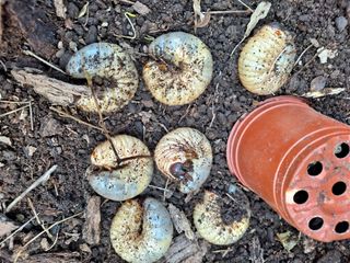 박손분님의 자유주제 · 사진전 작성글 사진