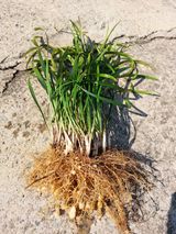 팜모닝 자유주제·자유게시판 게시글 이미지