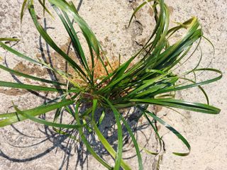 배종섭님의 자유주제 · 자유게시판 작성글 사진