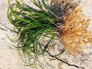 배종섭님의 자유주제 · 자유게시판 작성글 사진