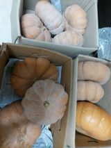 팜모닝 · 게시글 이미지